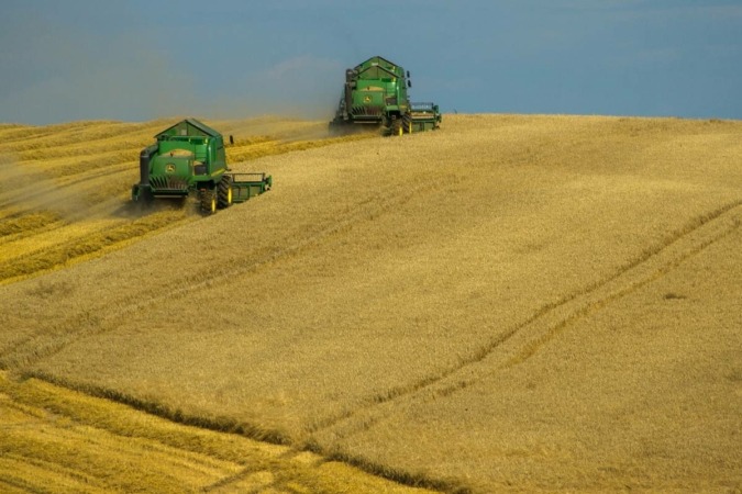 La campaña cerealista foral supera las 831.000 toneladas de grano