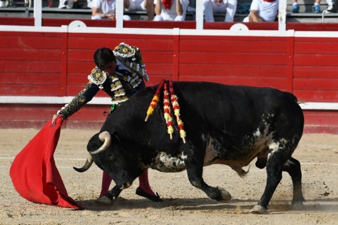 El toro navarro regresa al ruedo