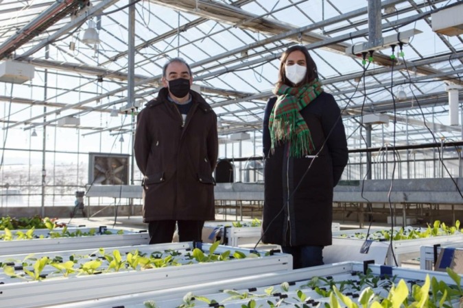 Las universidades navarras trabajan en el cultivo de hortalizas sin nitratos