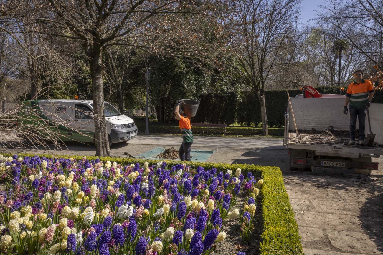 Las flores más curiosas de Pamplona: bocas de dragón, margaritas de un metro y boniatos fosforitos