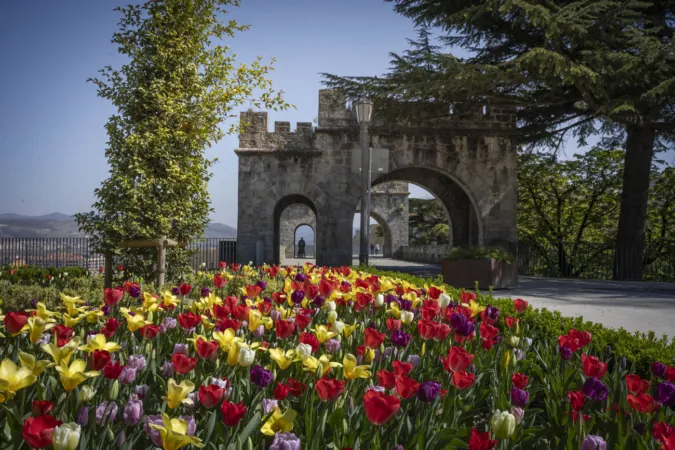 Las flores más curiosas de Pamplona en fotos: bocas de dragón, margaritas de un metro y boniatos fosforitos