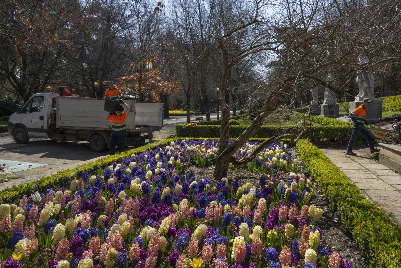 Las flores más curiosas de Pamplona: bocas de dragón, margaritas de un metro y boniatos fosforitos