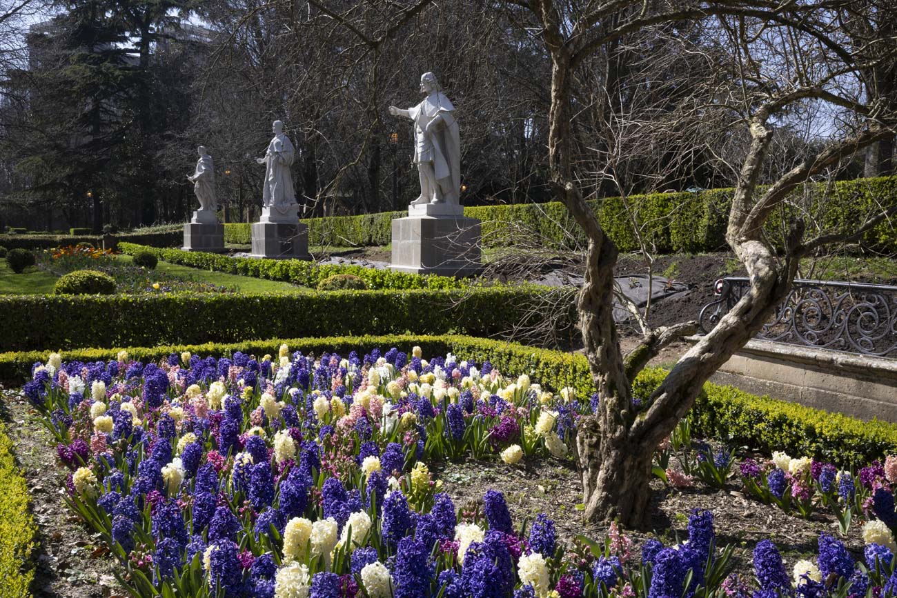 Las flores más curiosas de Pamplona: bocas de dragón, margaritas de un metro y boniatos fosforitos