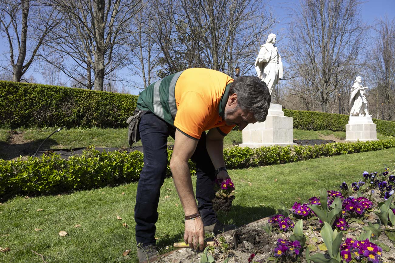 Las flores más curiosas de Pamplona: bocas de dragón, margaritas de un metro y boniatos fosforitos