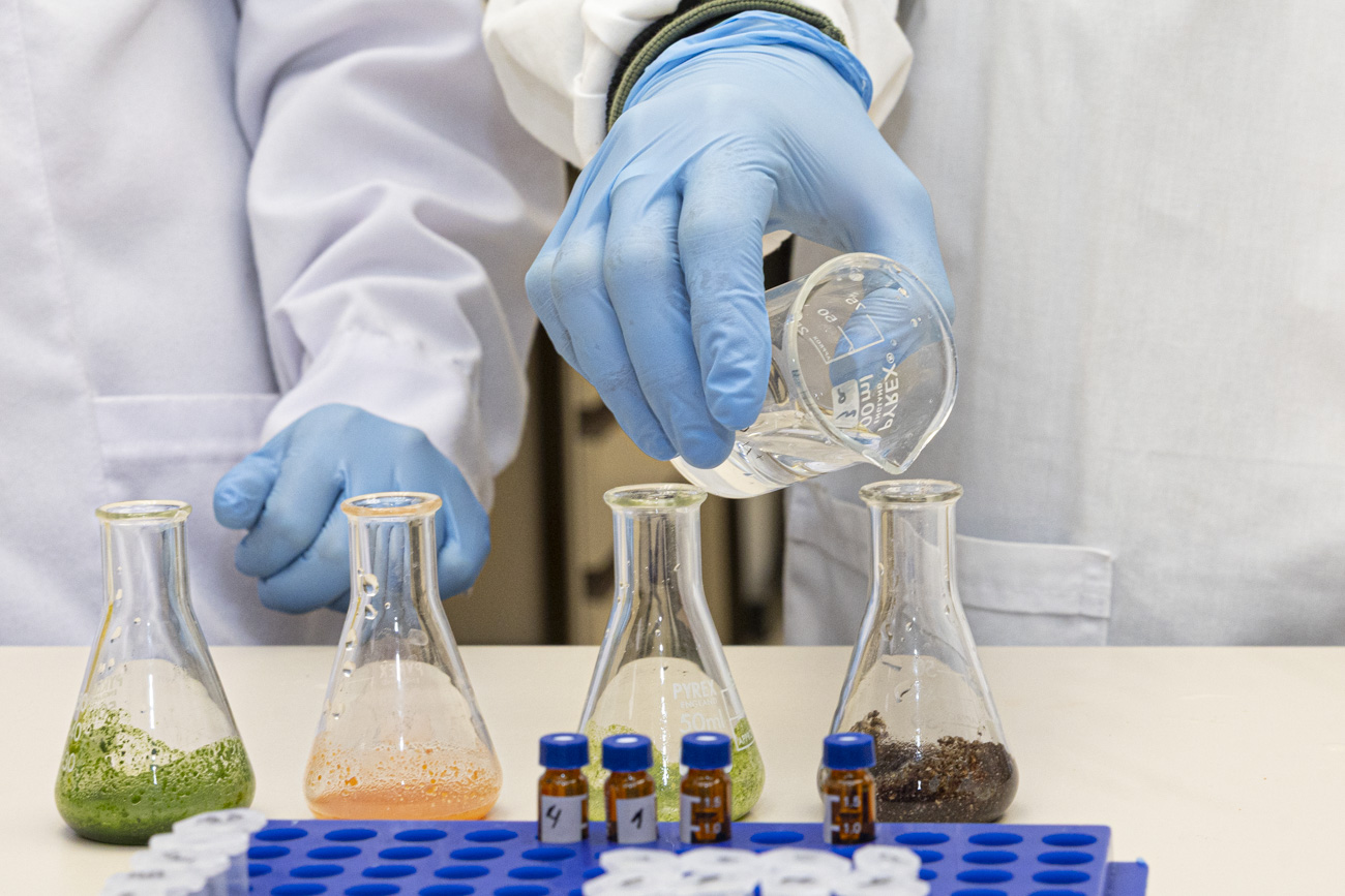 El equipo ha procesado subproductos de zanahoria, brócoli, espinaca y radicchio para elaborar alimentos beneficiosos para la salud.