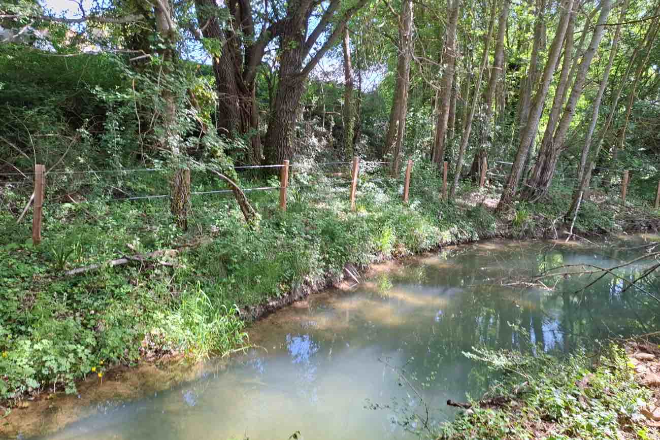 Se optó por instalar un sistema de pastor eléctrico en lugar de alambre de espino, ya que el cierre atraviesa una regata.