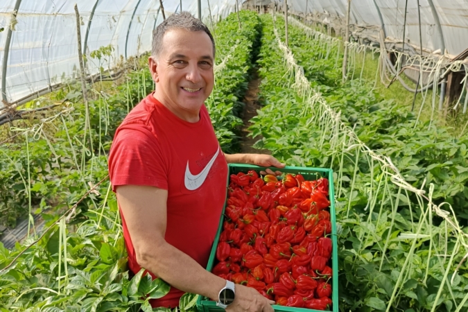 La pareja sudamericana que, tras sufrir dos robos, ya vende los primeros chiles habaneros navarros