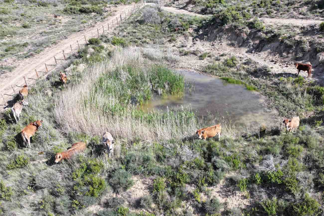 La actuación forma parte del proyecto «Hay otra forma de conservar nuestros bosques».