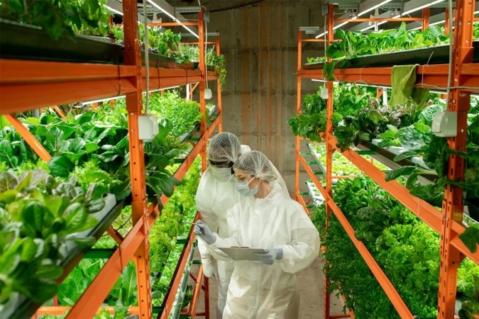 Se buscan veinte empresas agroalimentarias para una misión comercial a México