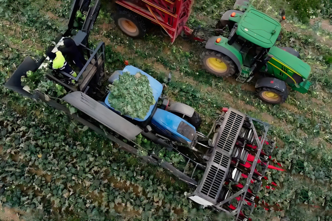 AIT y Moresil lanzan una revolucionaria máquina que automatiza la cosecha del brócoli