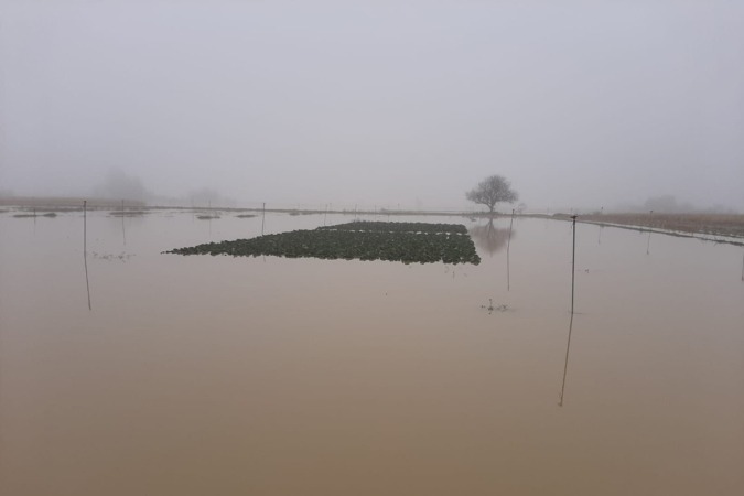 Regantes y pymes agrícolas afectadas por las inundaciones recibirán 2 millones en ayudas