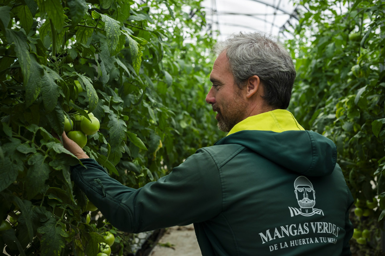 La Huerta de Mangas Verdes posee más de diez hectáreas de invernaderos y 40 de tierra cultivable en superficie exterior.