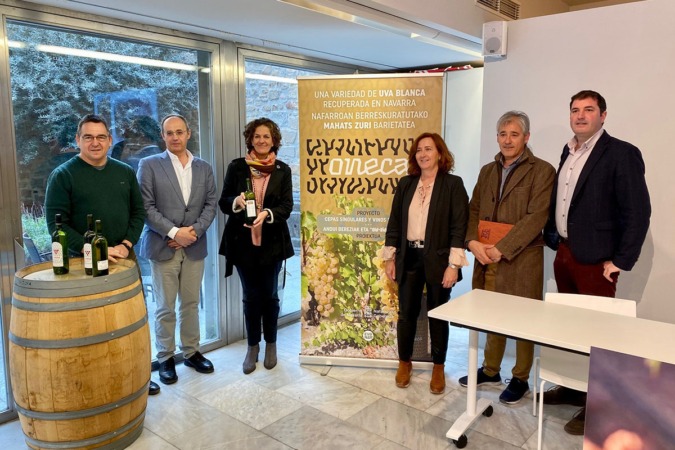 Navarra recupera una antigua uva blanca, la oneca, única en la región