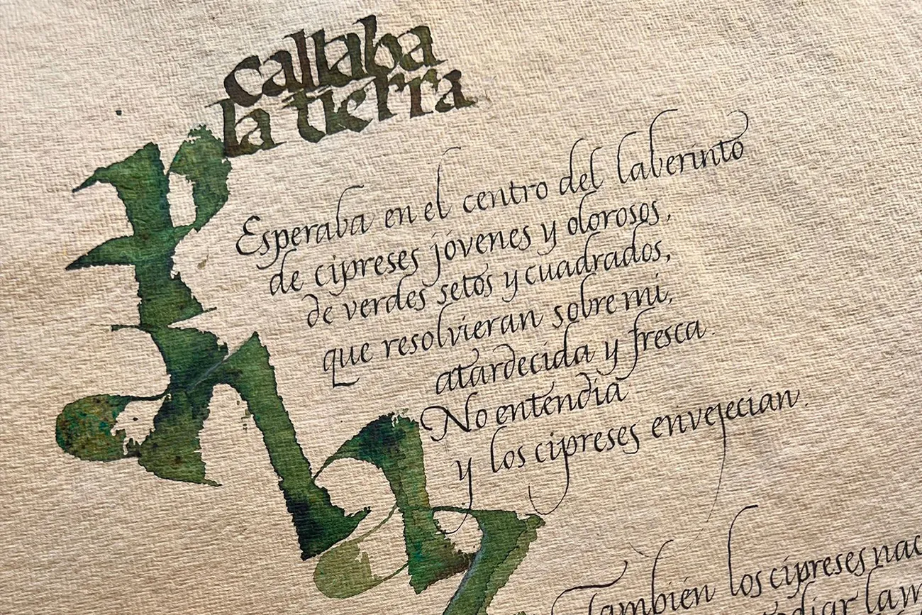 En la academia de Silvia, los alumnos rondan entre los veinticinco y los setenta años. 